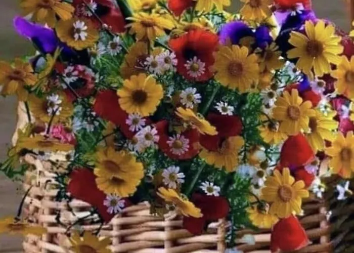 Theodora In Front Of The Sea Сasa de vacaciones *