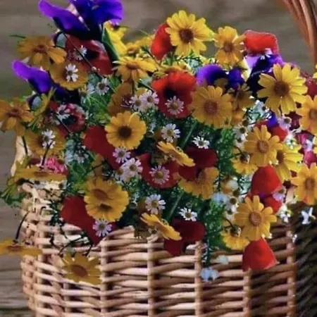 Theodora In Front Of The Sea Case de vacanță *